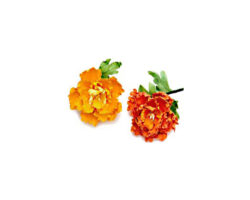 CORTADOR PLANO CLAVEL PLTSTICO 3 PZ =91010