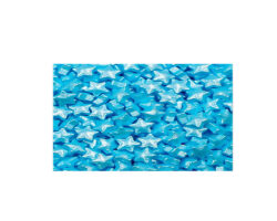 CAN ESTRELLA CARAMELO AZUL MINI BOLSA DE 1 KG
