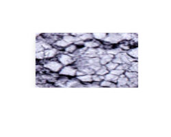 MATIZADOR  PLATA 5G.