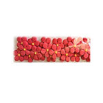 PASTILLAJE AZUCAR FLOR DURAZ 5 PETA CORAL  2.5 CM 21 PZS. AP