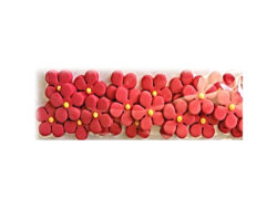 PASTILLAJE AZUCAR FLOR DURAZ 5 PETA CORAL  2.5 CM 21 PZS. AP