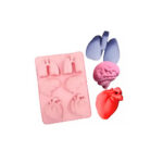 MOLDE SILICON PULMON,CEREBRO Y CORAZON 6 CAV 22.5X16.5CM